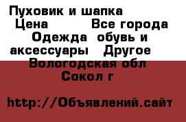 Пуховик и шапка  Adidas  › Цена ­ 100 - Все города Одежда, обувь и аксессуары » Другое   . Вологодская обл.,Сокол г.